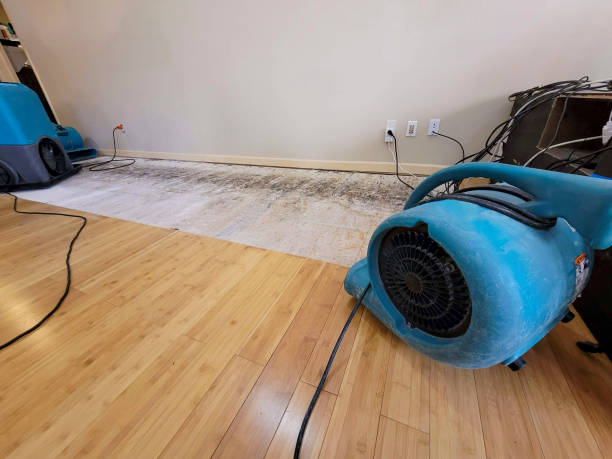Professional Basement Flood Cleanup technician working in Haskins, OH